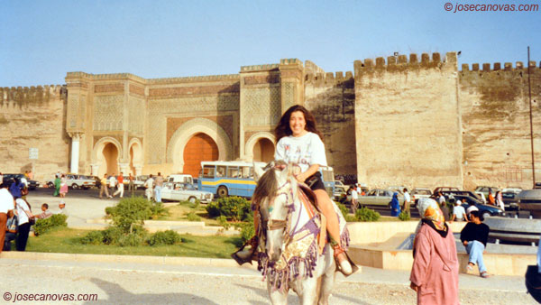 caballo