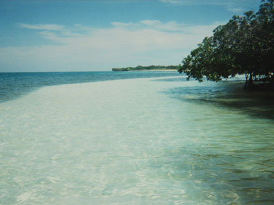 Playa Jutías