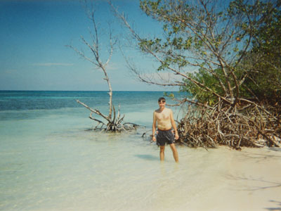 Manglar de la playa