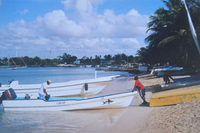 bayahibe