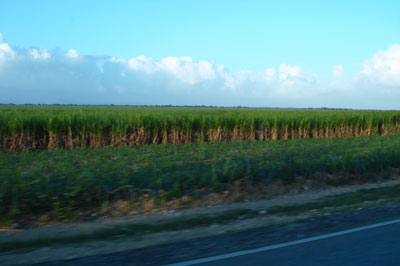 campos