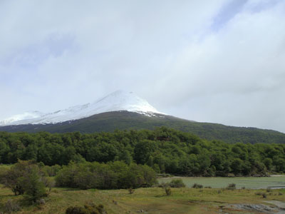 Bosque de lenga