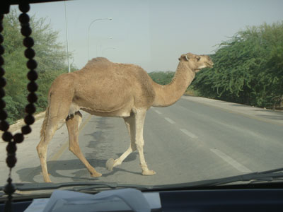 carretera2