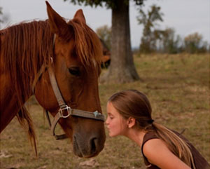caballo
