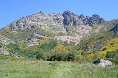 curavacas
