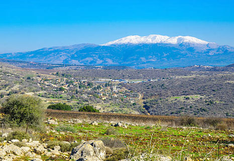 hermon