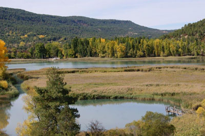 lagartera