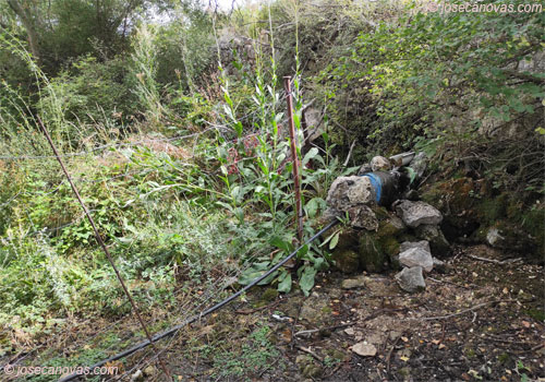 nacimiento
