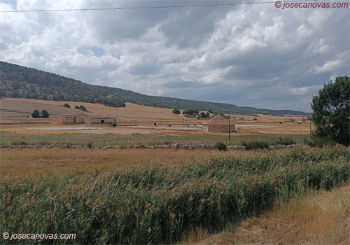 salinas