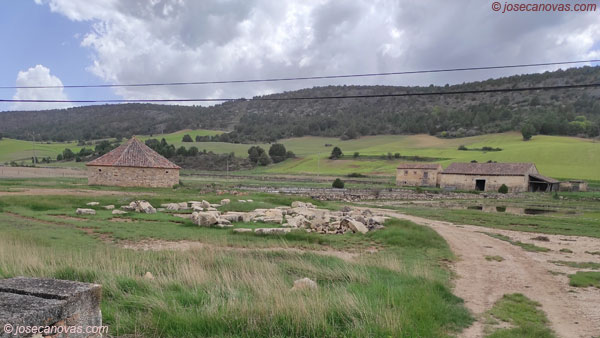 salinas3