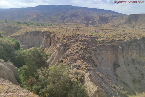 tabernas