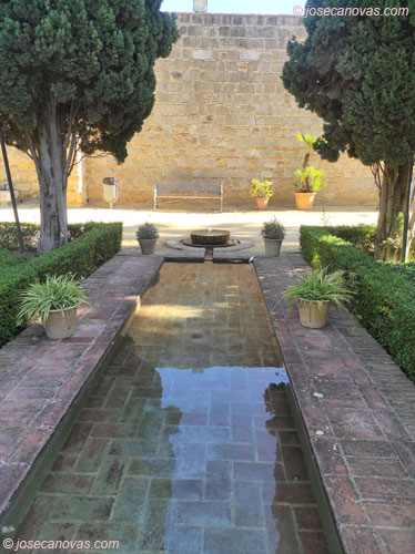 jardin2