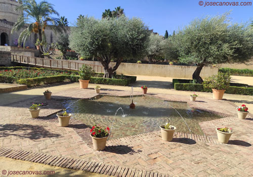 jardin4