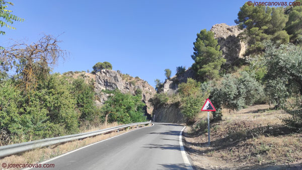 tajo4