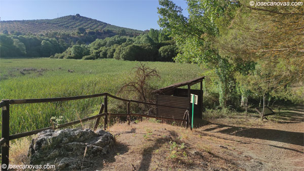 caseta