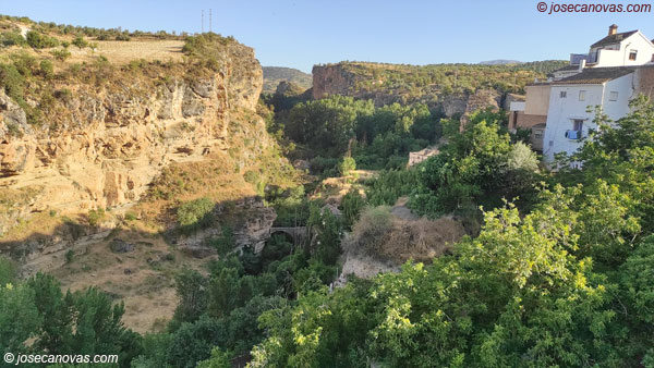 tajo4