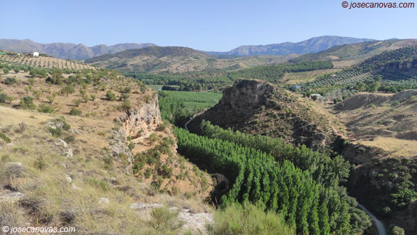 vistas3