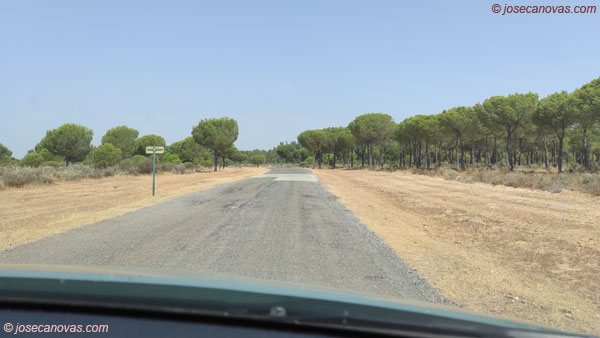 carril