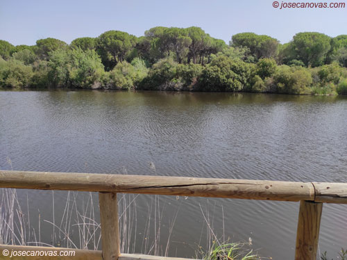 charco