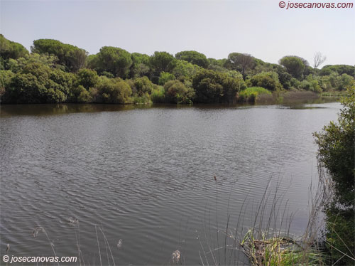 charco2