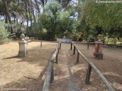jardin3