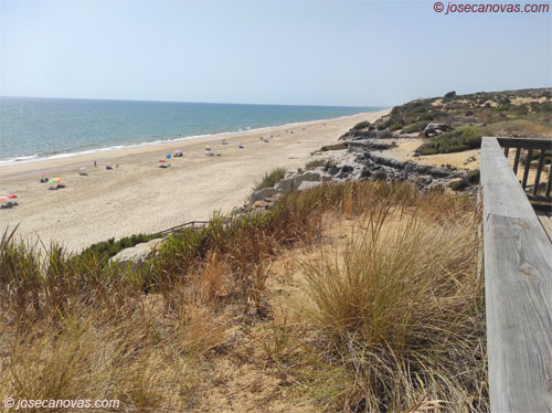 mirador2