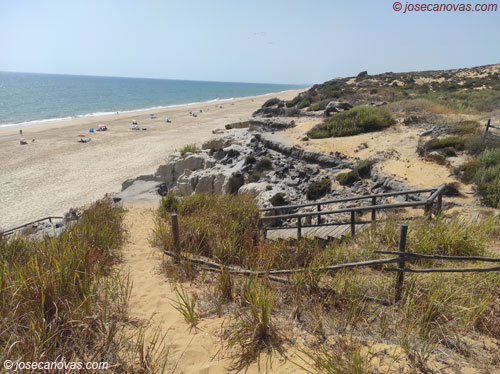 mirador3