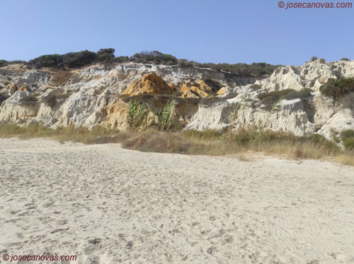playa4