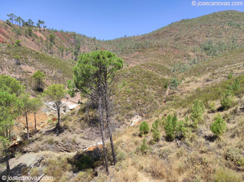 naci