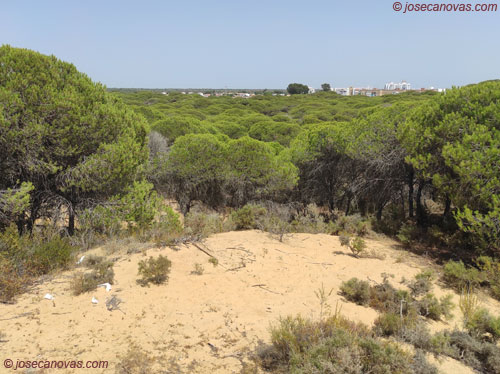 dunas2