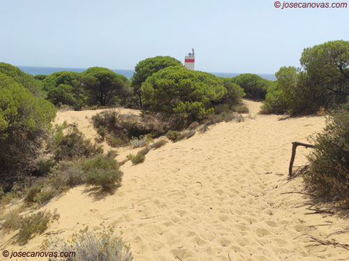 dunas4