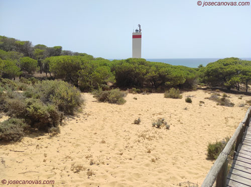 faro