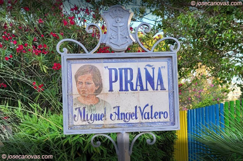 pirana