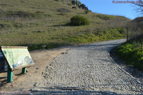 carril