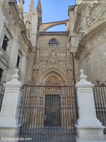 campanillas2