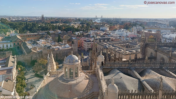 mirador