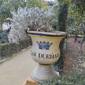 fotocolumna