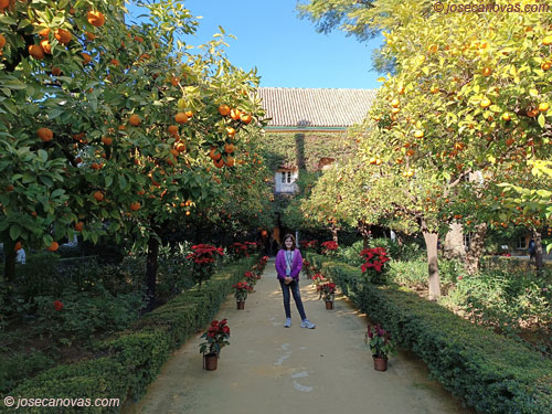 jardin