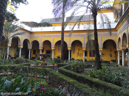 patio2