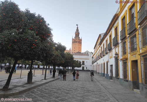 banderas