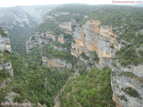 mirador