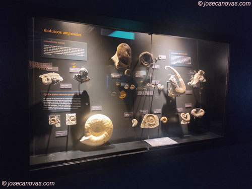 museo2