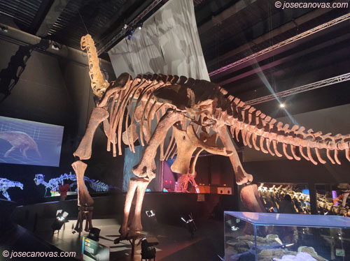 museo3