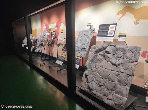 museo5