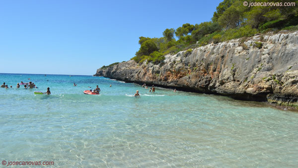 anguila