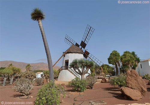jardin2