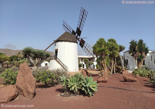 molino2
