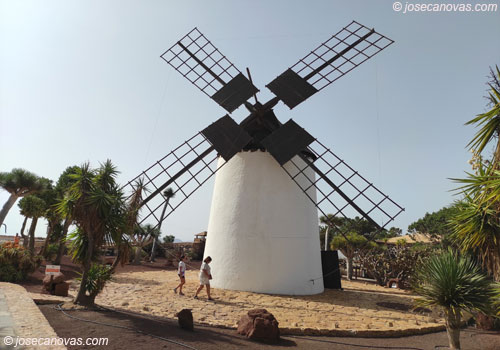 molino3