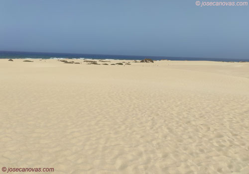 dunas4