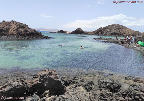pisci